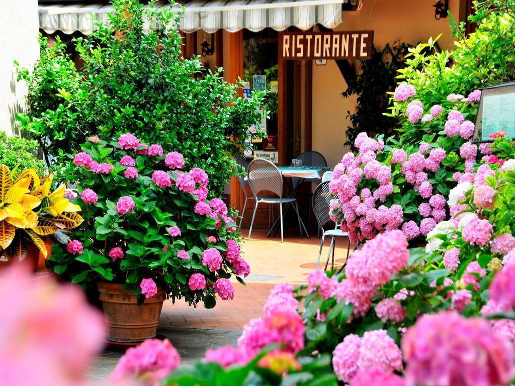 Guest house Dal Falco Pienza